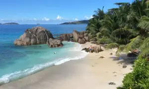 Rajska plaża na Seszelach, turkusowa woda, palmy i skały. Warto wiedzieć, seszele ile trwa lot, by zaplanować podróż do tego raju.