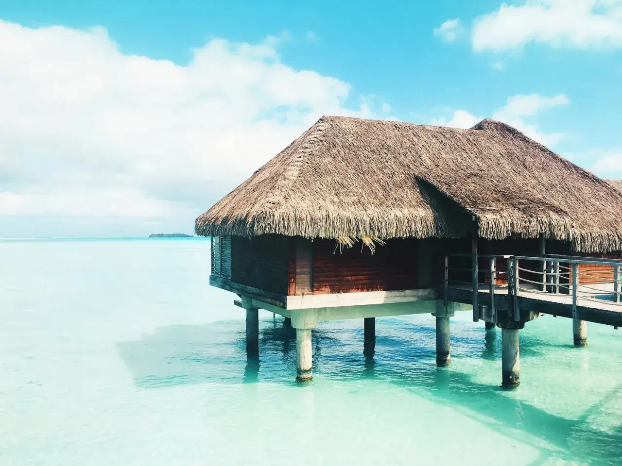 Snorkeling z płaszczkami Bora Bora