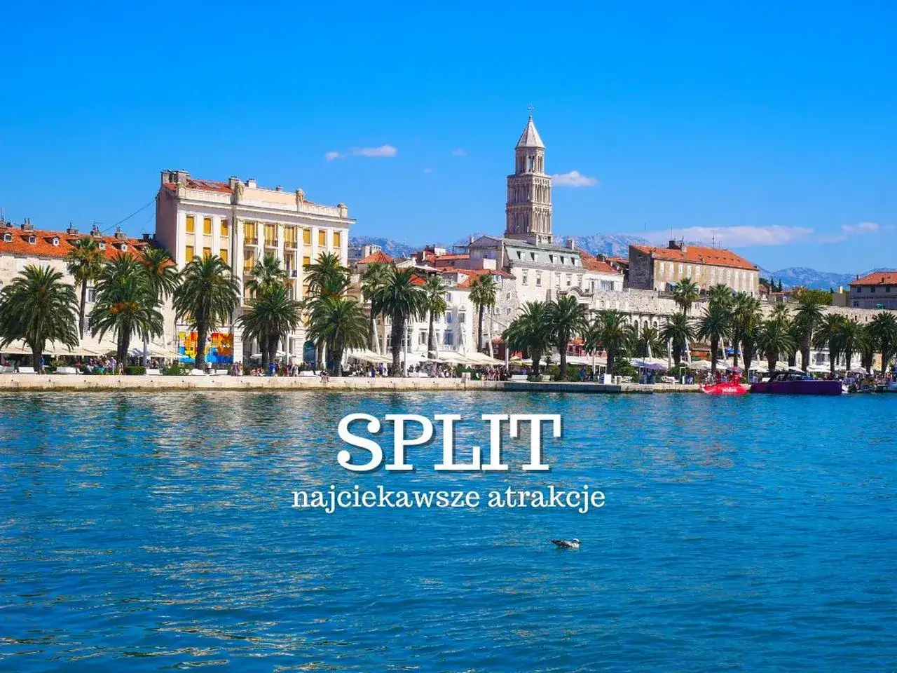 Split, Chorwacja: malowniczy widok na nabrzeże z palmami, zabytkową architekturą i wieżą katedry. Odkryj najciekawsze atrakcje!